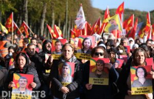 Mobiele Eenheid grijpt in bij demonstratie Malieveld Den Haag