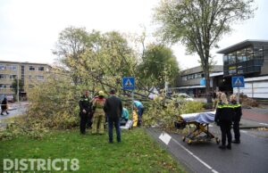 Vrouw komt terecht onder omvallende boom tijdens storm Ciaran Volendamlaan Den Haag