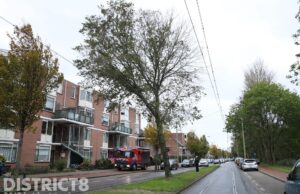 Boom valt op bovenleiding Margaretha van Hennebergweg Den Haag