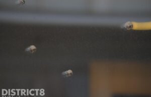 17 inslagen aangetroffen in gebouw vervoersmaatschappij EBS Telexstraat Den Haag