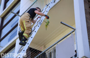 Halsband parkiet zit vast in net op balkon Schoutendreef Den Haag
