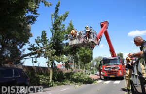 Vallende takken veroorzaakt schade aan auto Meppelweg Den Haag
