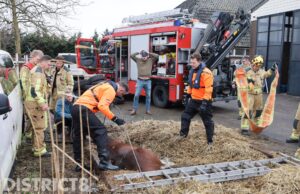 Paard zakt in put en komt vast te zitten Lange Broekweg Naaldwijk