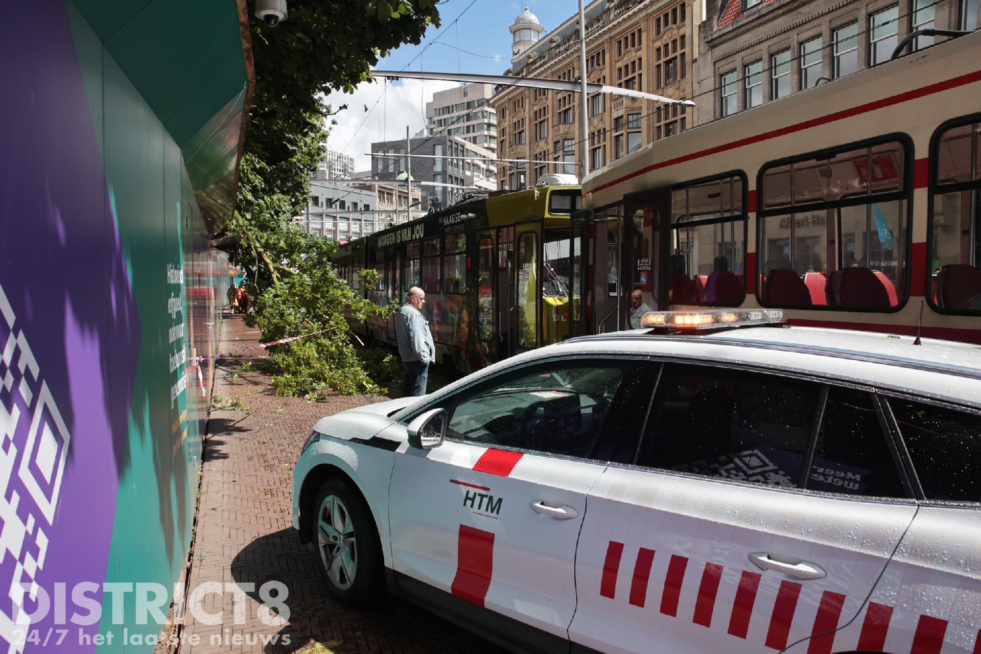 Er valt een grote tak op de stroomafnemer van de Hofwegtram in Den Haag