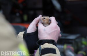 Wasdroger in brand; twee dieren gered Havenstraat Rijswijk