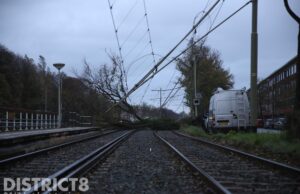 Boom valt op bovenleiding, Tram 2 volledig gestremd Loosduinsekade Den Haag