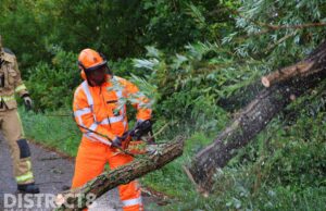 Afgebroken tak zorgt voor grote ergernis voor sluipverkeer Abtswoude Schipluiden