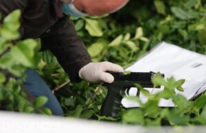 Schiedammer (25) aangehouden na ruzie, vuurwapen aangetroffen Nassaulaan Delft