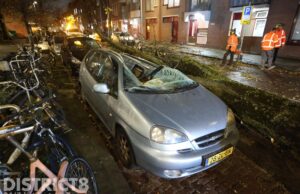 Auto total-loss nadat boom erop valt Jacob Catsstraat Den Haag