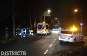 Automobilist rijdt tegen boom aan na uitwijkmanoeuvre Madeweg Monster