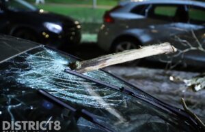 Meerdere auto’s beschadigd door vallende takken De Gaarde Den Haag