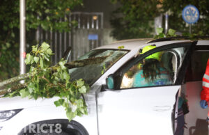 Gewonde nadat vallende tak door voorruit van auto heen vliegt Sportring Delft