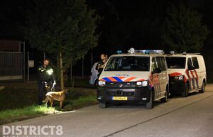 Ontsnapte herdershond bijt drie schapen dood en zes gewond