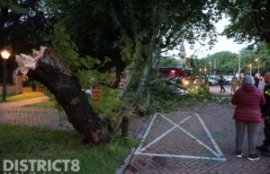 Geparkeerde auto beschadigd door afgebroken tak Sophialaan Den Haag