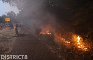 Brandweer blust meerdere brandjes in bossage Pierre Van Hauwelaan Delft