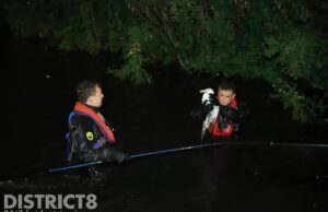 Brandweerduikers halen meeuw uit sloot Wateringseweg Delft