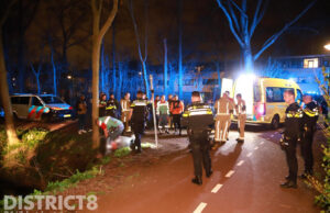 Man raakt met rollator te water Pieter Biesiotpad Den Haag
