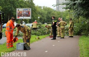 Boom valt om over fietspad Prinses Beatrixlaan Rijswijk