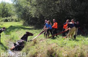 Brandweer komt in actie voor paard in sloot Oudeweg Nootdorp