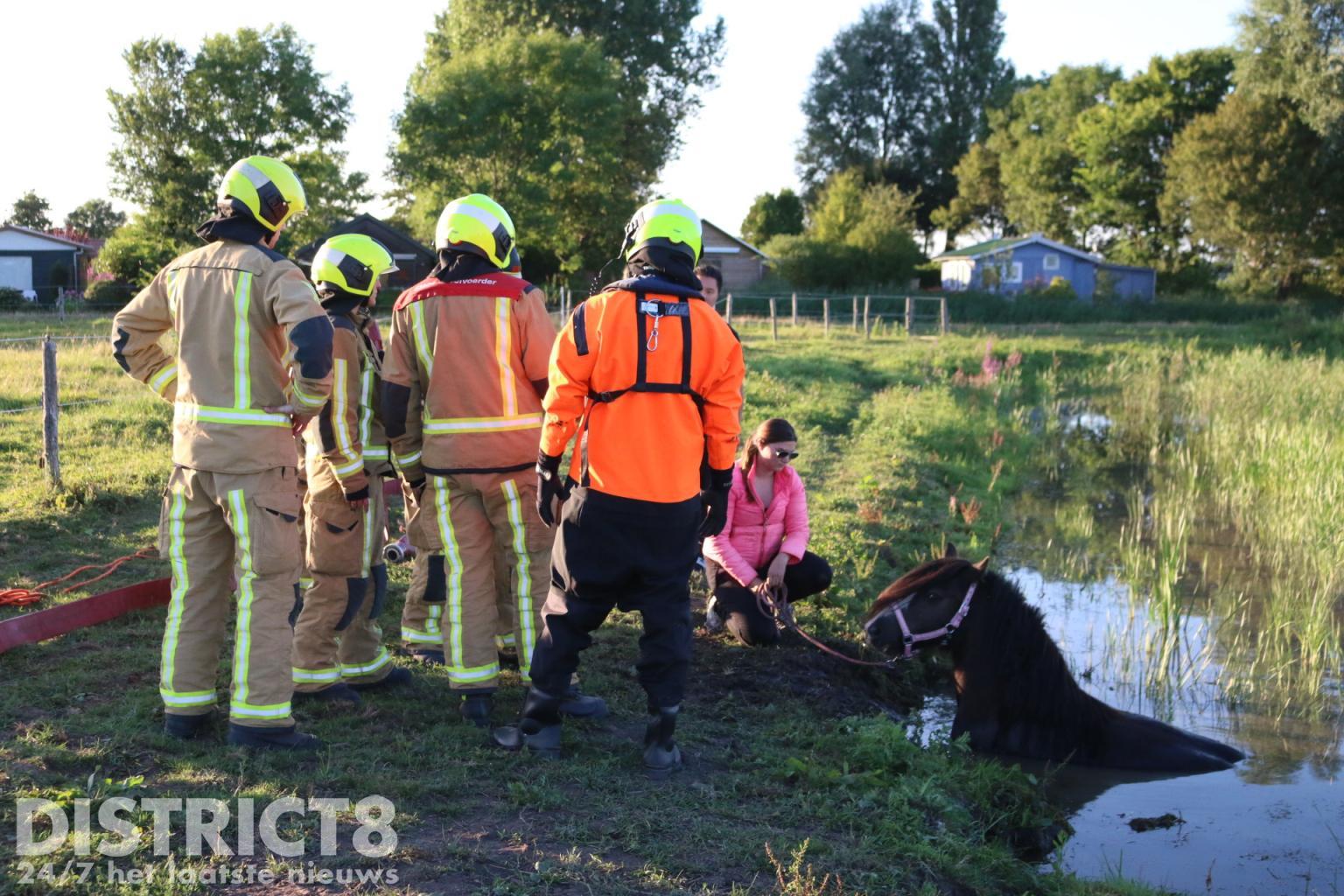 Brandweer En Omstanders Redden Paard Uit Sloot Ruigelaan Wassenaar ...