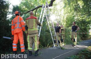 Brandweer verwijdert gevaarlijk hangende tak Voordijkshoornsepad Delft