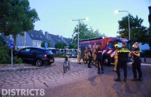 Auto rijdt rechtdoor over rotonde en komt tegen boom tot stilstand Noordweg Wateringen