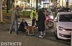 Go Sharing bestuurder gaat er na ongeval vandoor Martinus Nijhofflaan Delft