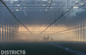 Flinke rookontwikkeling bij brand in kas Van Ockenburchlaan Honselersdijk