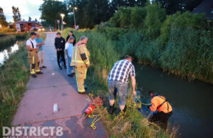Bestuurder aangehouden nadat hij met scooter te water raakt Trambaan Oost Naaldwijk