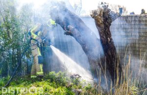 Boom in brand gestoken Commandeurskade Maasland
