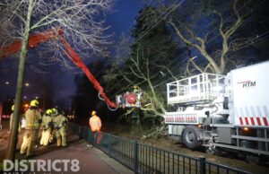 Boom waait om en belandt op tramrails en bovenleiding Melis Stokelaan Den Haag