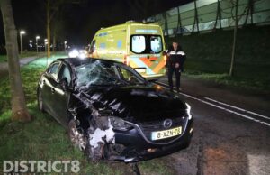 Automobilist knalt tegen boom Rijksstraatweg Delft