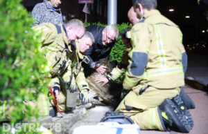 Brandweer bevrijd hond die vast zit in goot Dijkshoornseweg Den Hoorn