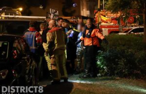 Man springt in het water bij wespenaanval Jan Luykenlaan Den Haag