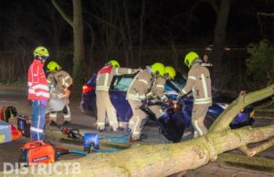 Boom valt op rijdende auto Rozenlaan Maassluis