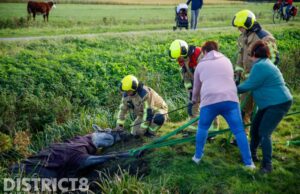 Brandweer zet alles op alles om paard uit sloot te halen Foppenpolder Maasland