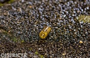 Woning in woonwijk beschoten Jan Kobellstraat Rotterdam