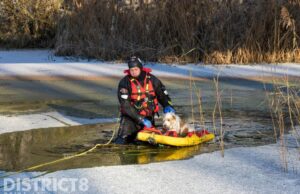 Brandweer redt door het ijs gezakt hondje Rondom West Vlaardingen