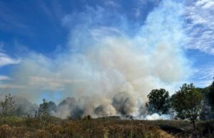 Rookwolken bij grote buitenbrand Fortunapad Vlaardingen