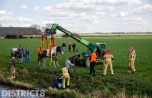 Paard te water na afbreken wiel, man gewond Scheeweg De Lier