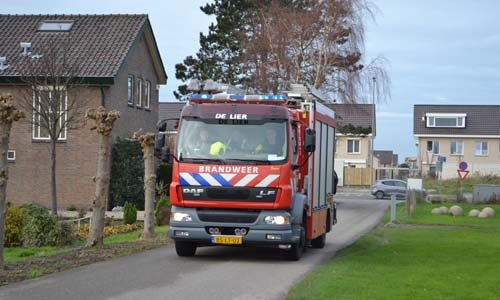 12 december Brandweer red paard uit de sloot Nieuwlandse Polderweg Hoek van Holland