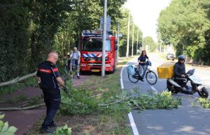 Boom valt plots op fietspad en rijbaan Monsterseweg Den Haag
