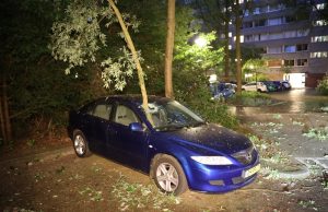 Veel schade in Delft door de harde wind