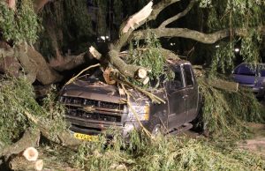 Enorme wilg landt op twee geparkeerde auto’s door storm Hoflandstraat Pijnacker