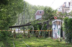 Storm in Den Haag en omstreken zorgt voor schade en hinder