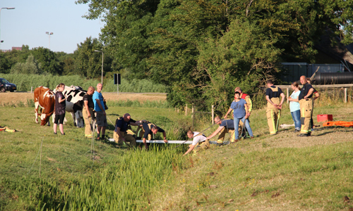5 juli Paard raakte te water Rijksstraatweg Schipluiden