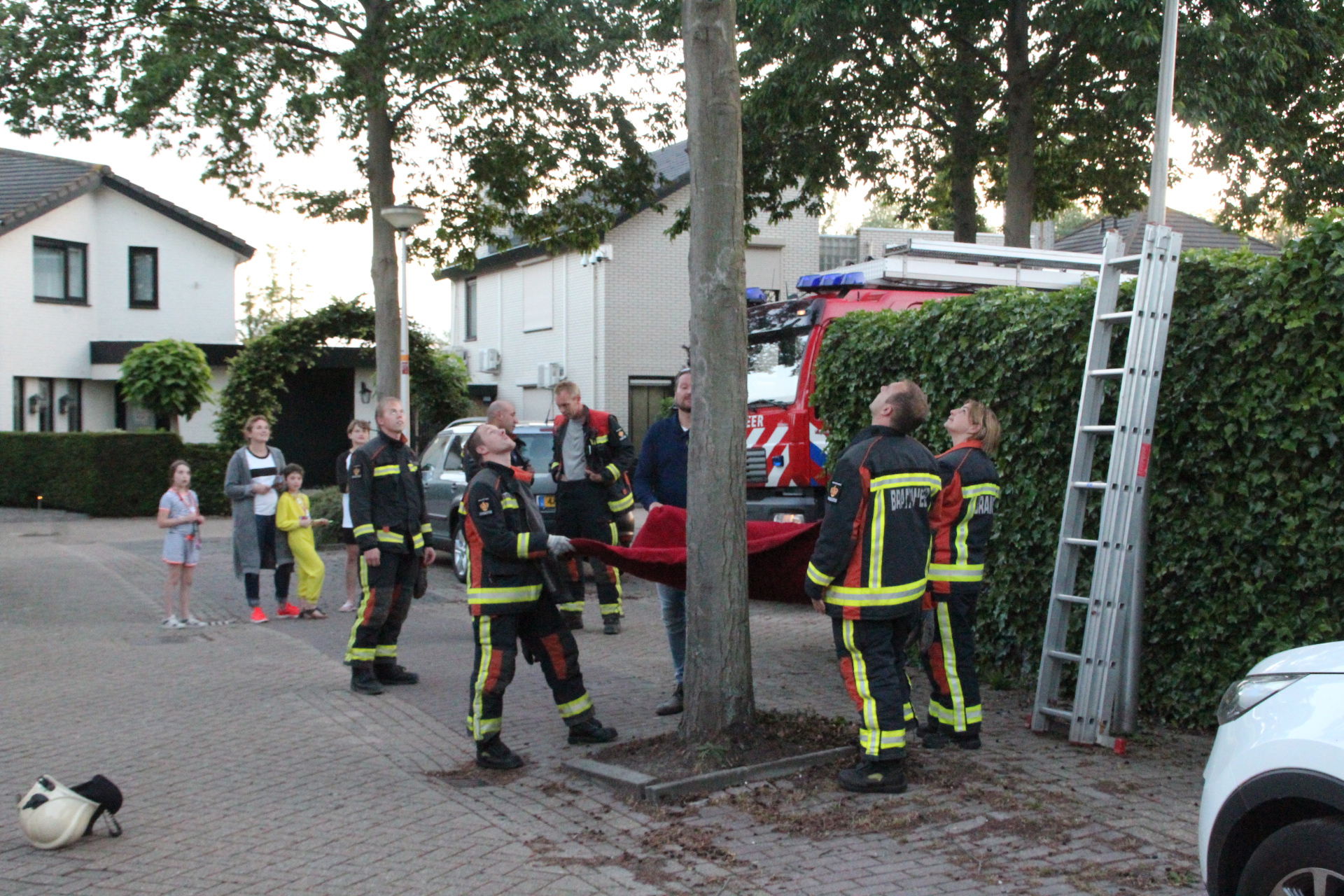 16 juni Brandweer rukt uit voor een kat in de boom Italiaansezoom Nieuwerkerk a/d IJssel