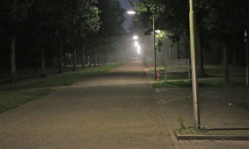 16 augustus Flinke rookontwinkkeling door broei in hooibalen Hoflaan Delft