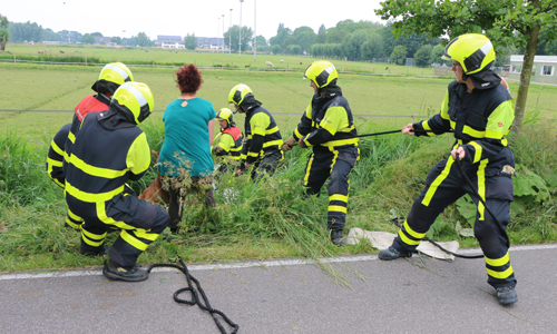 12 juni Brandweer haalt paard uit slootje Zouteveenseweg Schipluiden