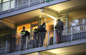 Kattenkwaad eindigt in flinke politie-inzet Bachsingel Delft